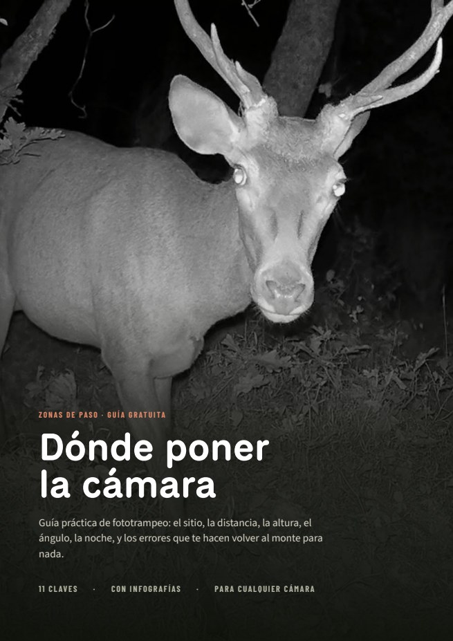 Portada de la guía Dónde poner la cámara